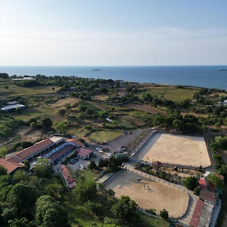 Mavi At Hotel Blue Horse Gumusdere Экстерьер фото