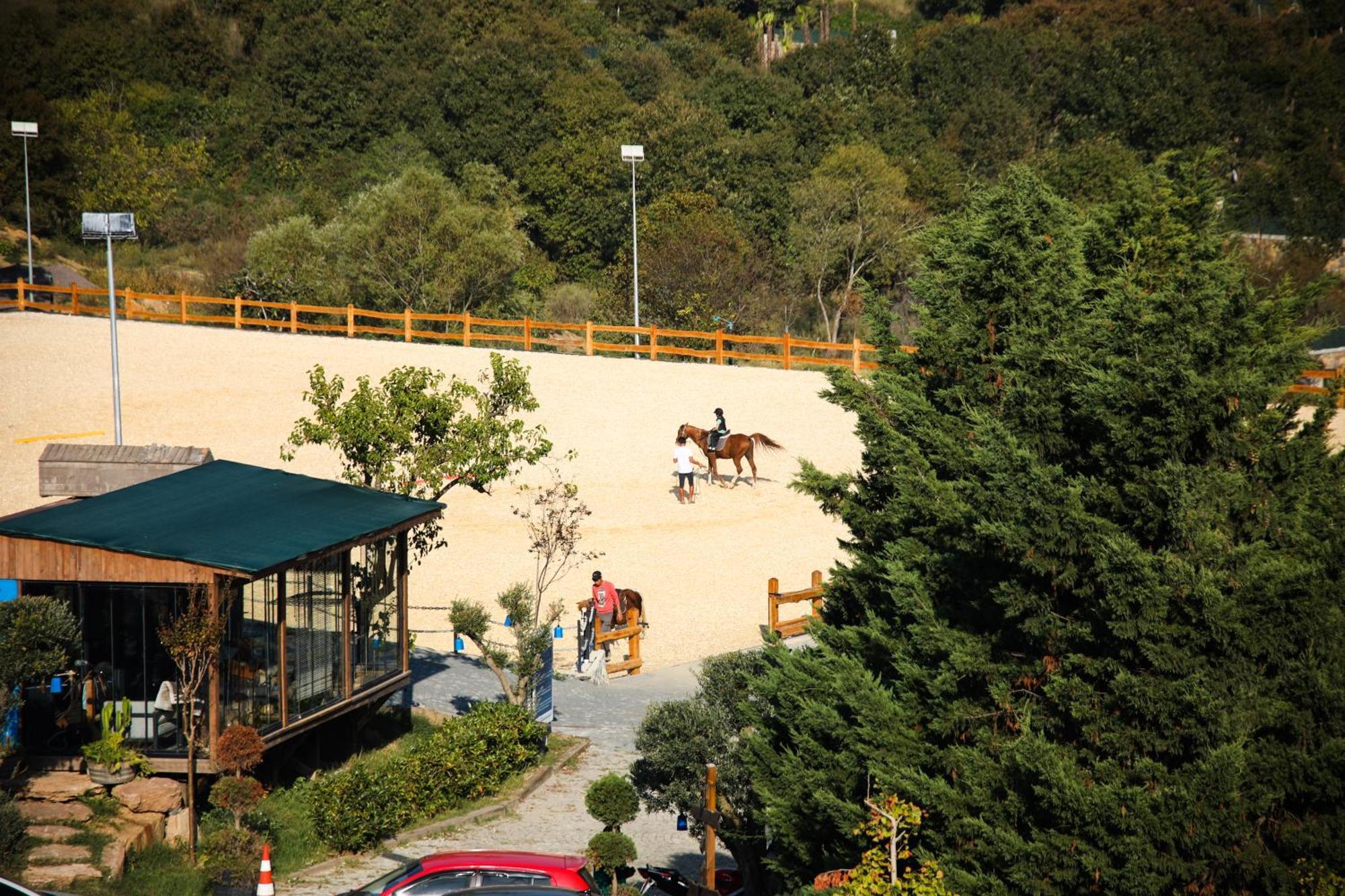 Mavi At Hotel Blue Horse Gumusdere Экстерьер фото
