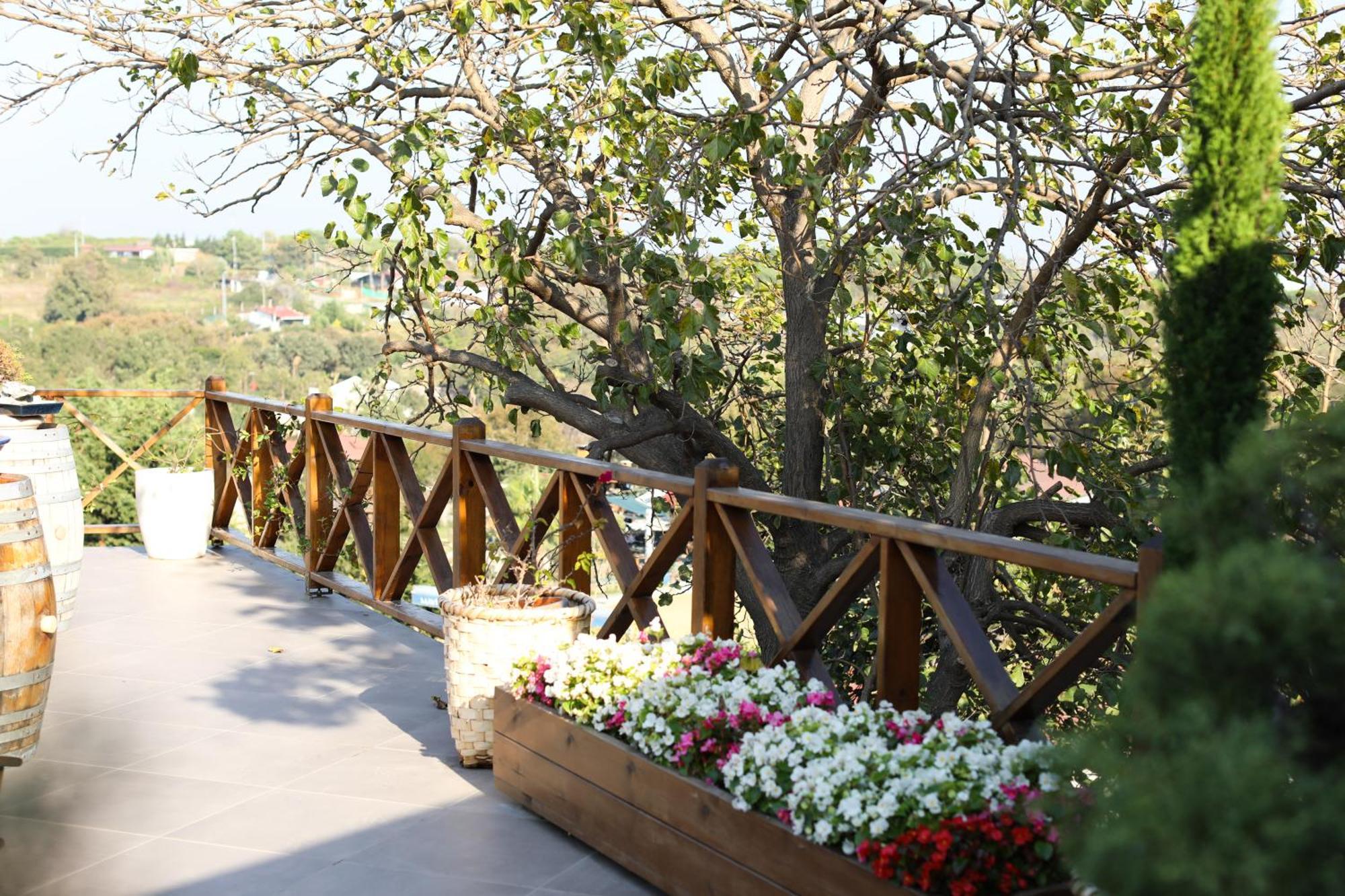 Mavi At Hotel Blue Horse Gumusdere Экстерьер фото